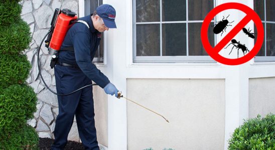 Havza Böcek ve Haşere İlaçlama böcek ilaçlama ve haşere kontrolü — ilaclama-tr.com